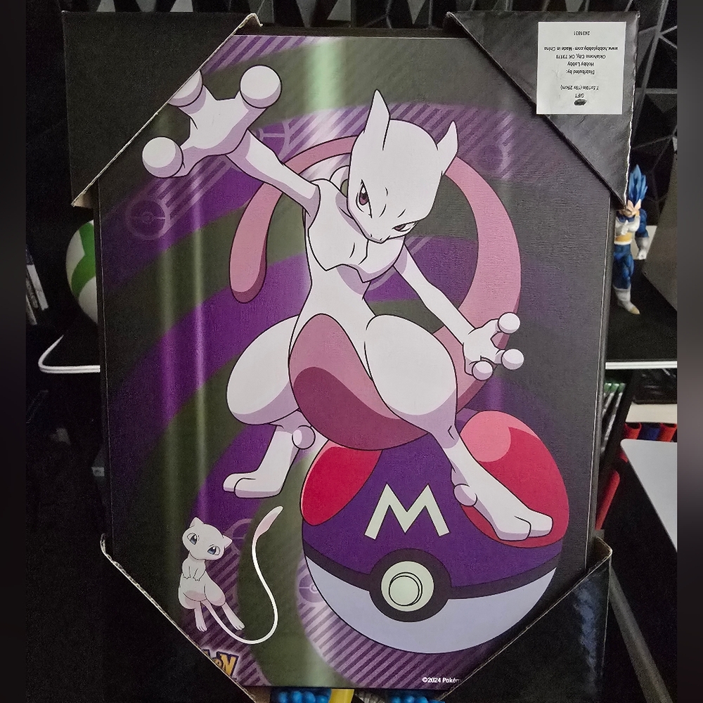Pokemon Mew and Mewtwo decor frame